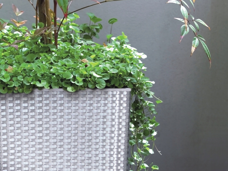 059a2a2e11bc3977cb5e6776d83f8a41.jpg