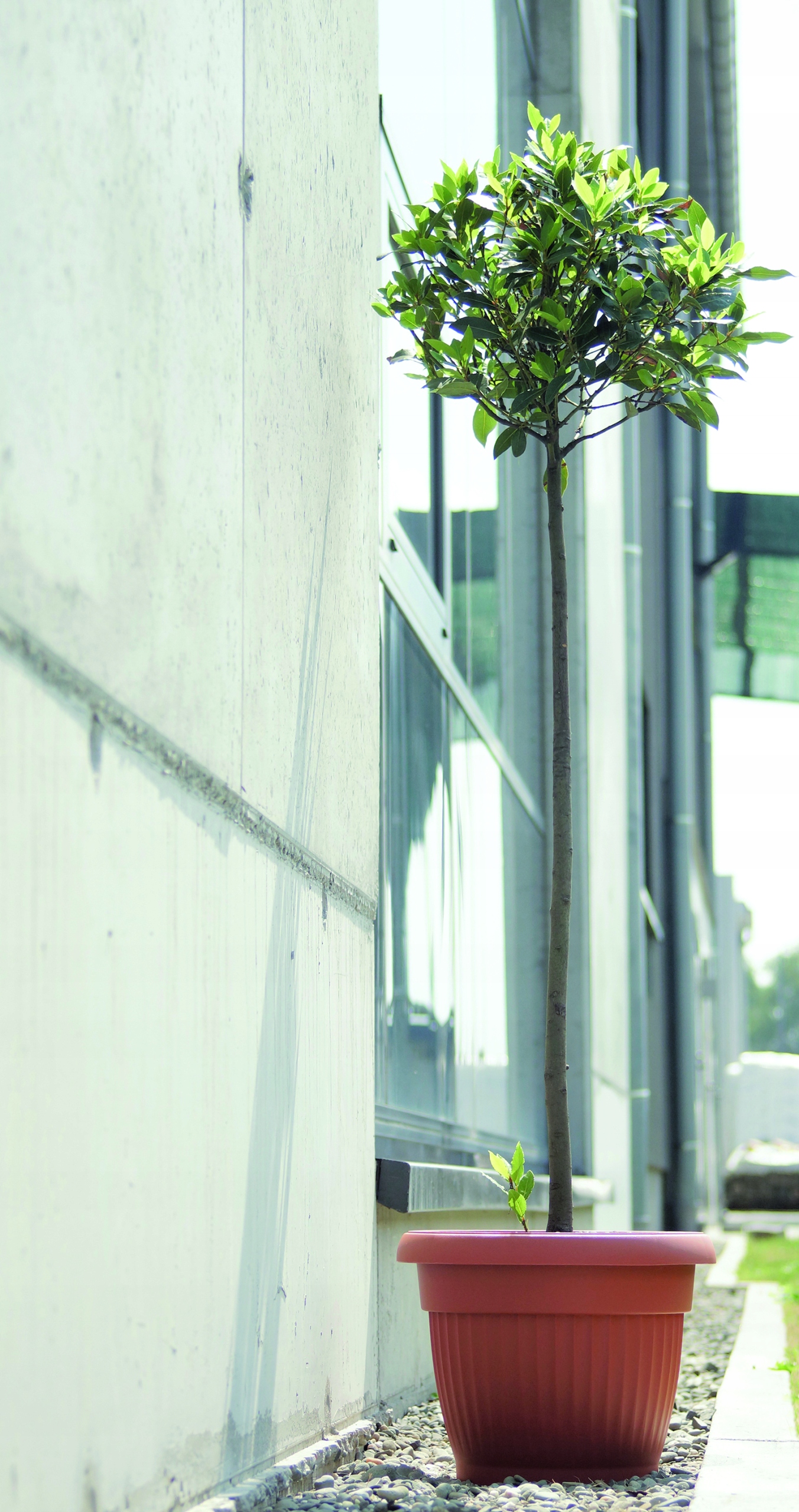 5b3646f9a2aff7249a2048872e12fc63.jpg
