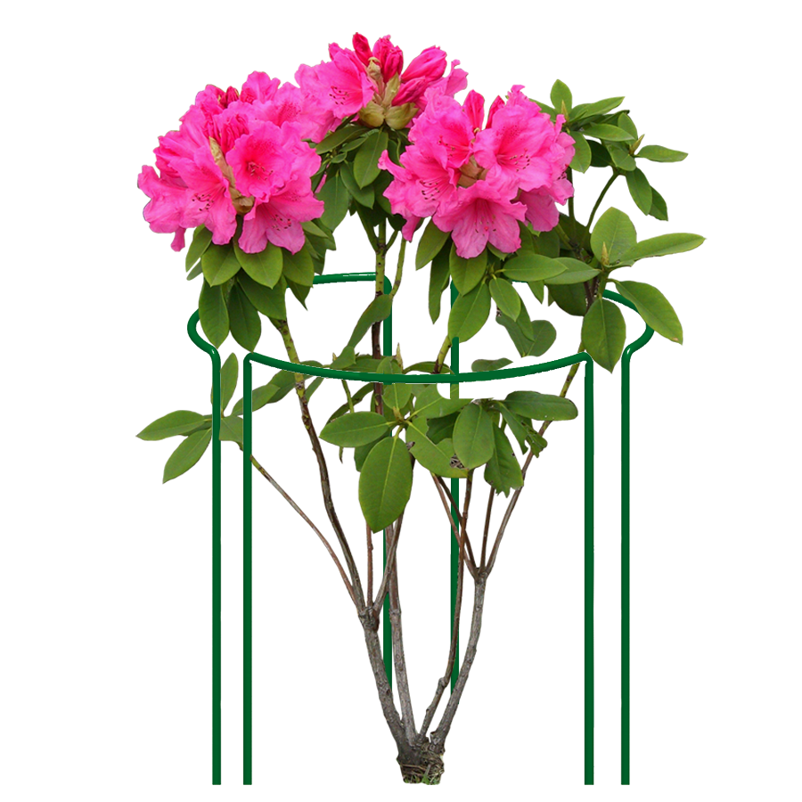 eca518aea4672dcc28de985eec802f4f.png