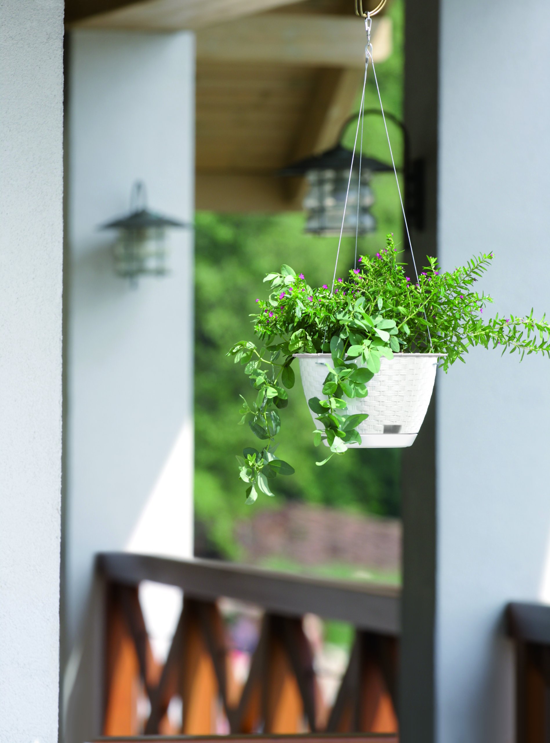 f56e7ee538a0c48de895e78990e44ed3.jpg