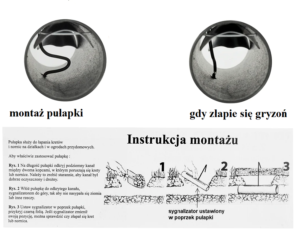 c90b0dd5374f284666421f5b9d31a680.png