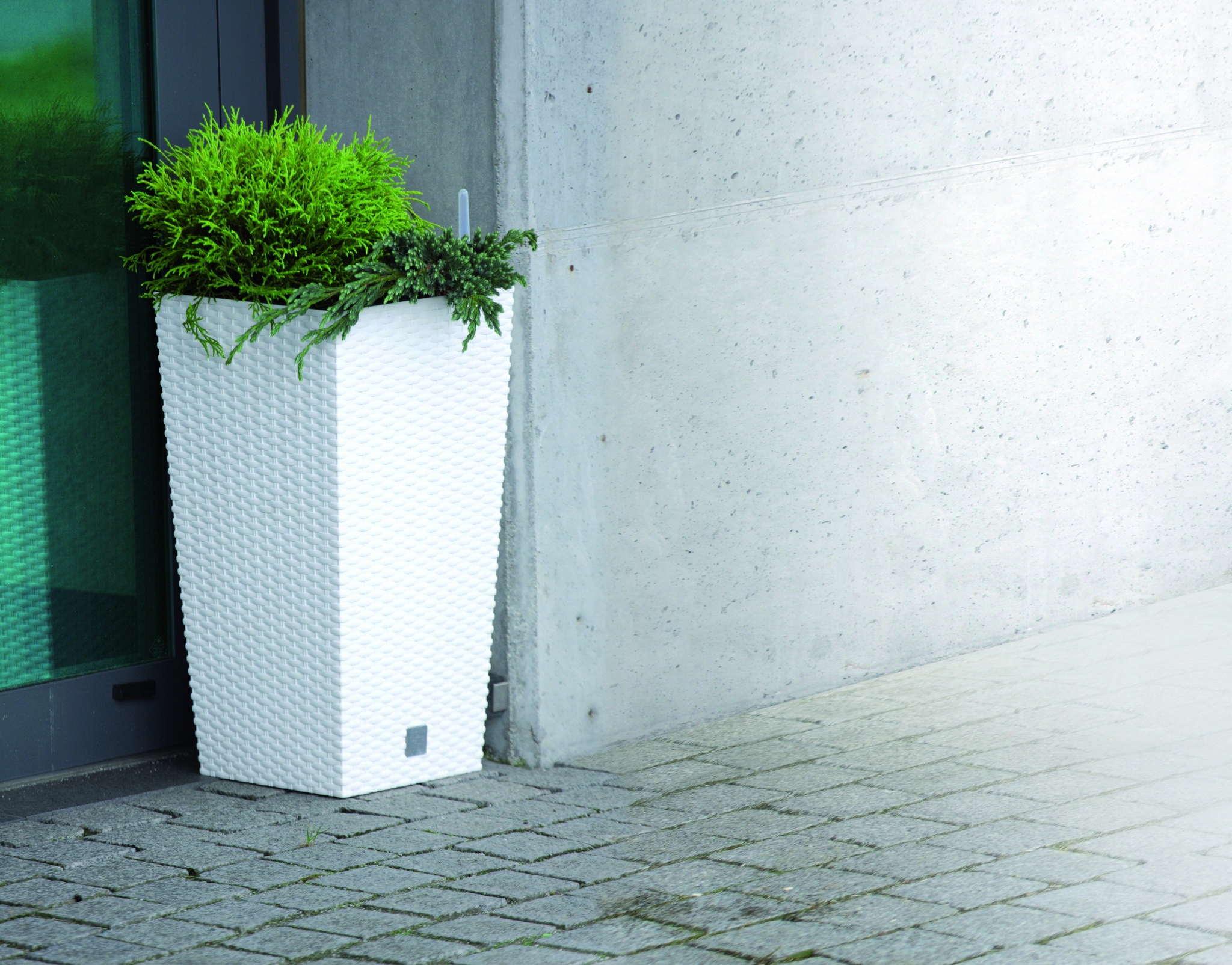 ee75ef47a4f8d2b30a43f012df565a4b.jpg
